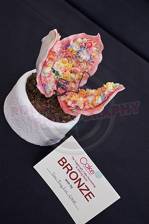 Cake International Rosette Winners