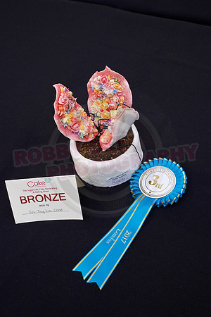 Cake International Rosette Winners