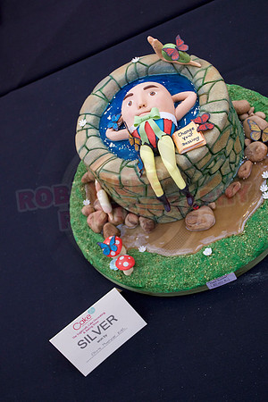 Cake International Rosette Winners