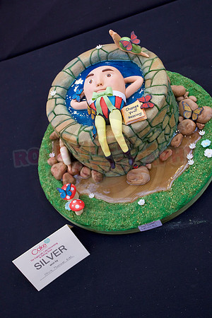 Cake International Rosette Winners