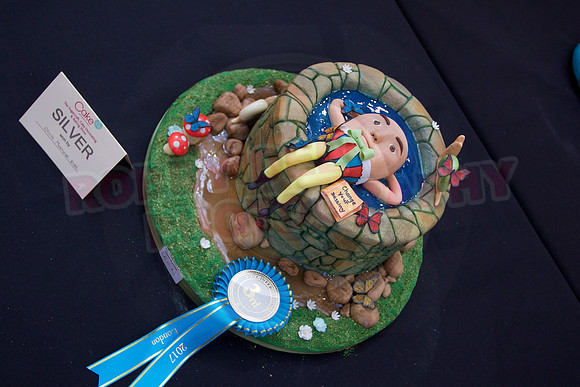 Cake International Rosette Winners