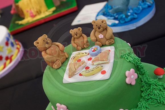 Cake International Rosette Winners