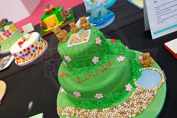 Cake International Rosette Winners