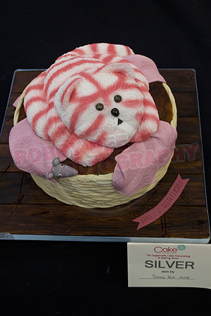 Cake International Rosette Winners