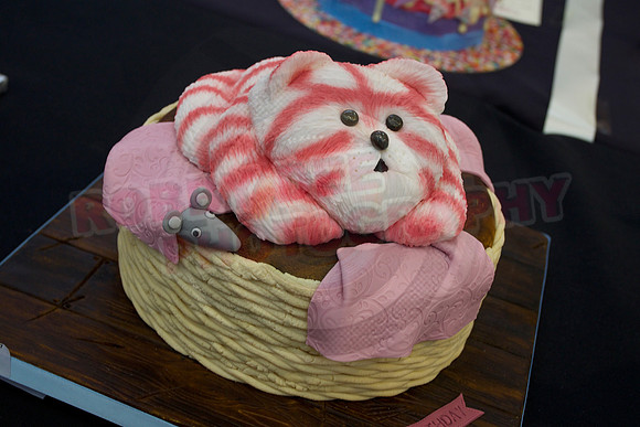 Cake International Rosette Winners