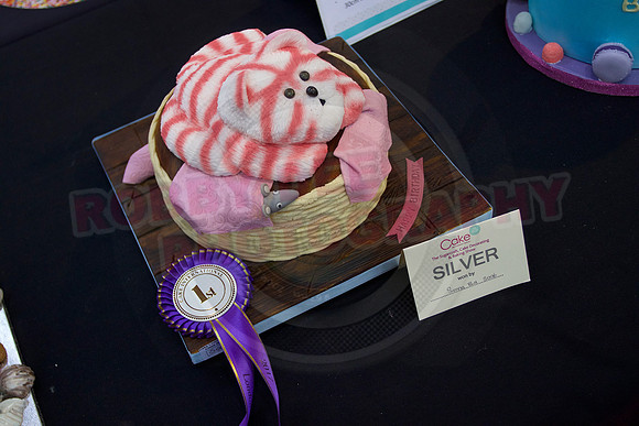 Cake International Rosette Winners
