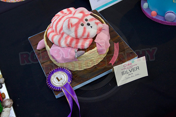 Cake International Rosette Winners