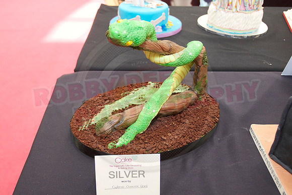 Cake International Rosette Winners