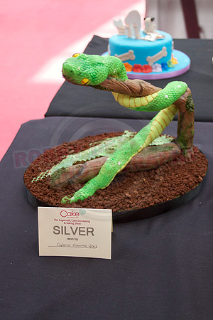 Cake International Rosette Winners