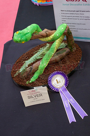 Cake International Rosette Winners