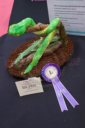 Cake International Rosette Winners