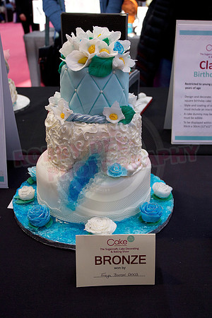 Cake International Rosette Winners