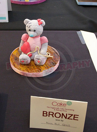 Cake International Rosette Winners