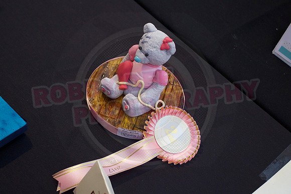 Cake International Rosette Winners