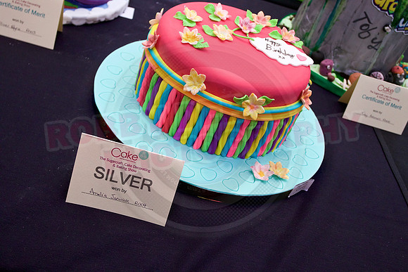 Cake International Rosette Winners