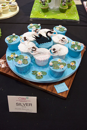 Cake International Cup Cake Entries Alexandra Palace 2030