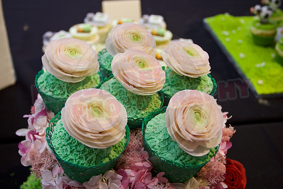 Cake International Cup Cake Entries Alexandra Palace 2038