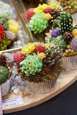Cake International Cup Cake Entries Alexandra Palace 2044