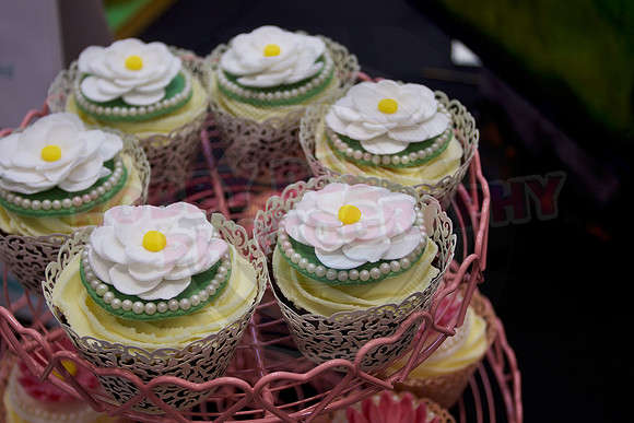 Cake International Cup Cake Entries Alexandra Palace 2067