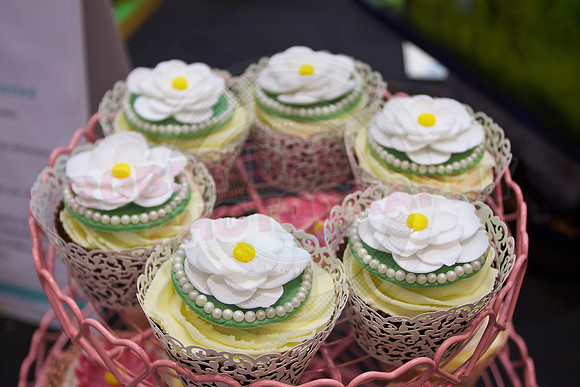 Cake International Cup Cake Entries Alexandra Palace 2068
