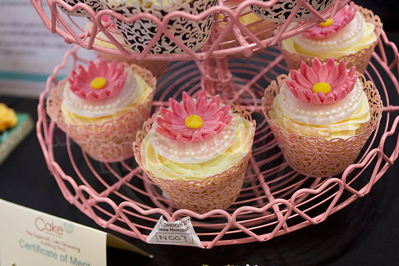 Cake International Cup Cake Entries Alexandra Palace 2074