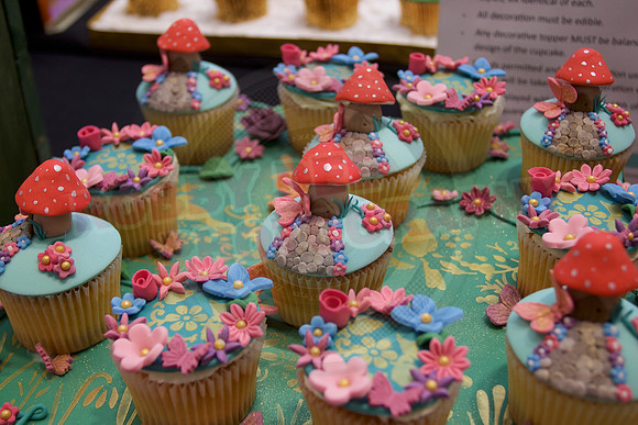 Cake International Cup Cake Entries Alexandra Palace 2082