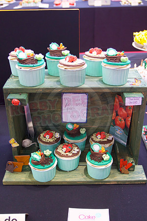 Cake International Cup Cake Entries Alexandra Palace 2087