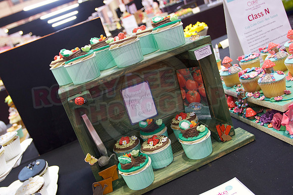 Cake International Cup Cake Entries Alexandra Palace 2088