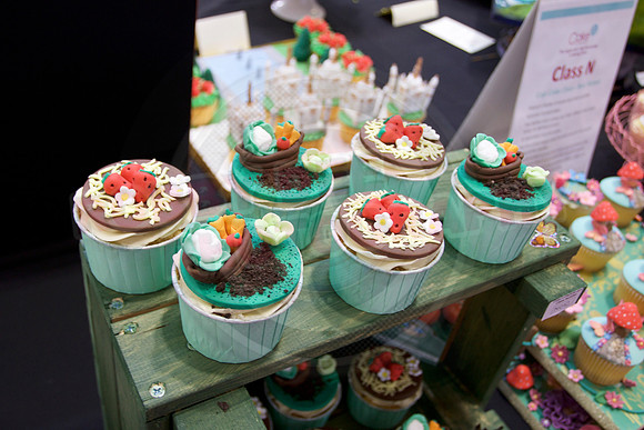 Cake International Cup Cake Entries Alexandra Palace 2089