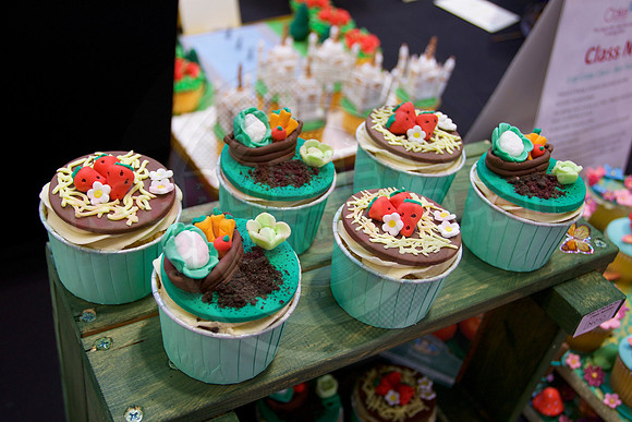 Cake International Cup Cake Entries Alexandra Palace 2090