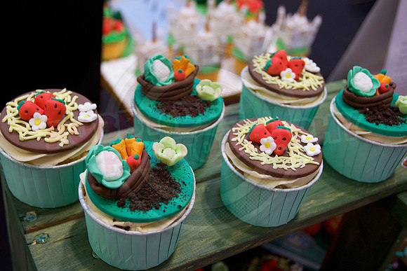 Cake International Cup Cake Entries Alexandra Palace 2091