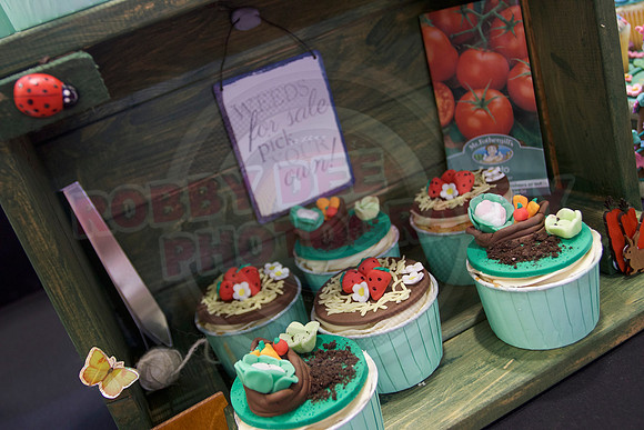 Cake International Cup Cake Entries Alexandra Palace 2092