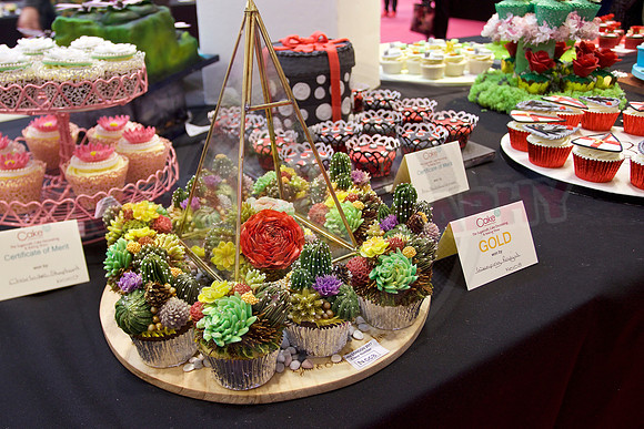 Cake International Cup Cake Entries Alexandra Palace 2096