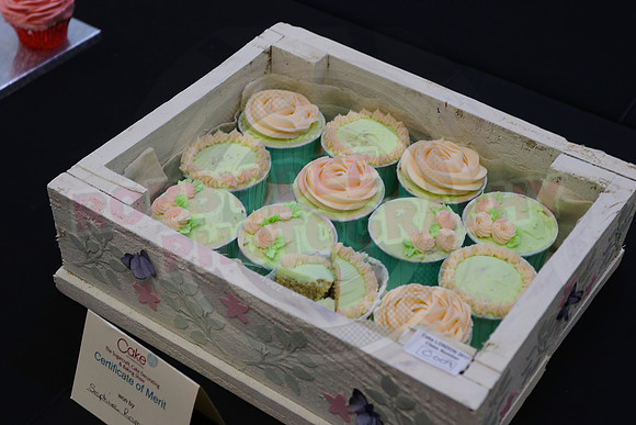 Cake International Cup Cake Entries Alexandra Palace 2106