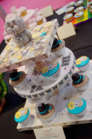 Cake International Cup Cake Entries Alexandra Palace 2114
