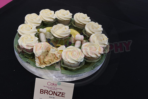 Cake International Cup Cake Entries Alexandra Palace 2123