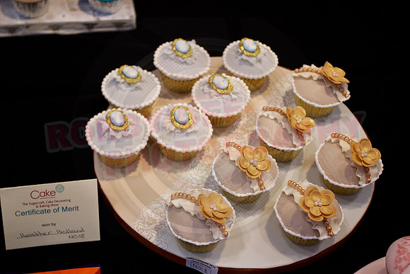 Cake International Cup Cake Entries Alexandra Palace 2125