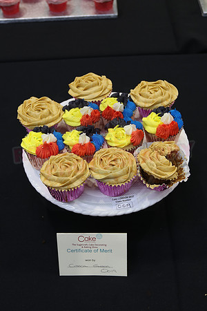Cake International Cup Cake Entries Alexandra Palace 2129