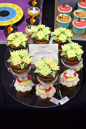 Cake International Cup Cake Entries Alexandra Palace 2140