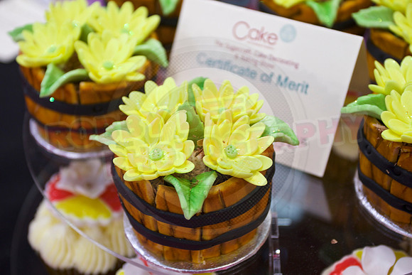 Cake International Cup Cake Entries Alexandra Palace 2141