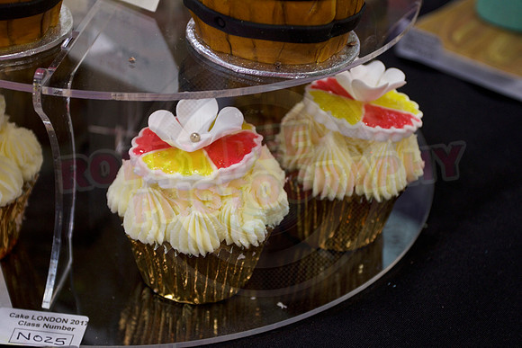 Cake International Cup Cake Entries Alexandra Palace 2142
