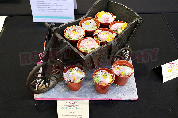 Cake International Cup Cake Entries Alexandra Palace 2151
