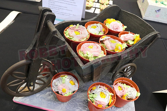 Cake International Cup Cake Entries Alexandra Palace 2152