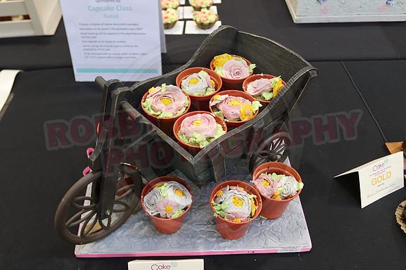 Cake International Cup Cake Entries Alexandra Palace 2153