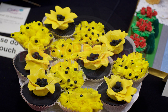 Cake International Cup Cake Entries Alexandra Palace 2163
