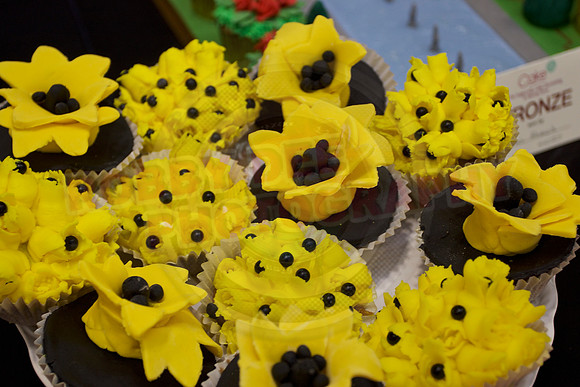 Cake International Cup Cake Entries Alexandra Palace 2164