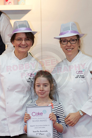 Cake International Competition Winners Alexandra Palace 2095