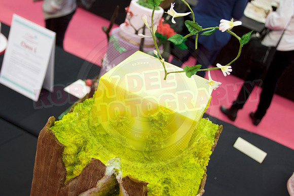 Cake International Amazing Wedding Cakes Entries at Alexandra Palace 2104