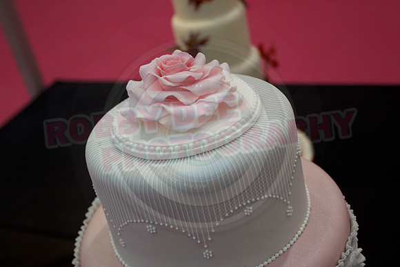 Cake International Amazing Wedding Cakes Entries at Alexandra Palace 2167