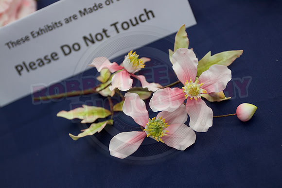 Cake International Exhibitor Stands